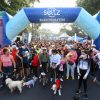 Concluye con éxito el 2º maratón canino en Coyoacán