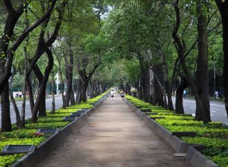 Congreso pedirá a SEDEMA y alcaldías informar sobre las áreas verdes