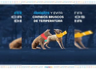 Emiten recomendaciones por bajas temperaturas en Coyoacán