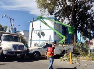 Atiende Alcaldía Coyoacán reportes vecinales