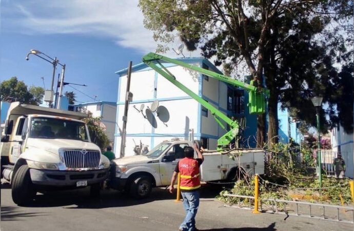 Atiende Alcaldía Coyoacán reportes vecinales