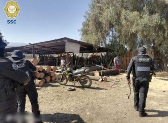 Clausuran bodega de madera clandestina en Tláhuac