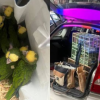 Capturan a sujeto por venta de aves exóticas en ÁO