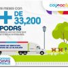 Van más de 33 mil 200 podas realizadas en Coyoacán