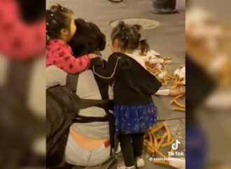 Policías de CDMX ofrecen disculpas a la señora de los churros por  daños ocasionados