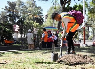 Infractores realizan trabajo social en Tláhuac