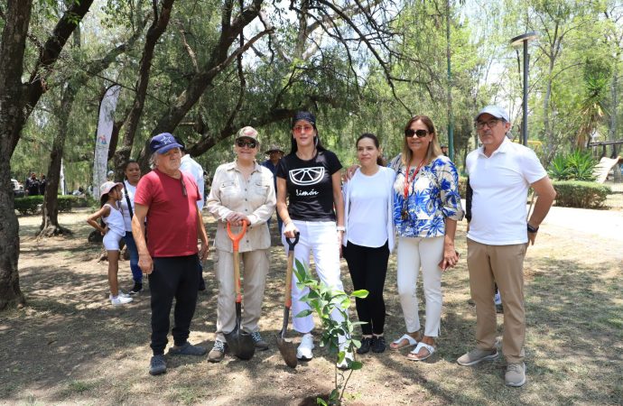 Se plantarán 3 mil árboles en la Alcaldía: Lía Limón