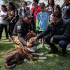 Presentan la ‘Ciudad de los Perros y de los Gatos’