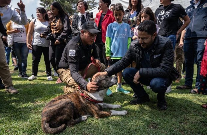 Presentan la ‘Ciudad de los Perros y de los Gatos’