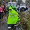 Atiende Coyoacán emergencia por lluvias con ráfagas de viento atípicas