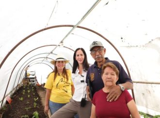 Con los huertos comunitarios e invernaderos de la Alcaldía, se favorece la economía de grupos vulnerables: Lía Limón