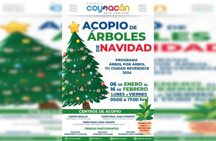 Continúa  el acopio de árboles de navidad en Coyoacán