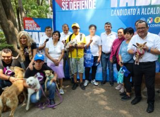 Va Tabe por red y consejo animalista en Miguel Hidalgo