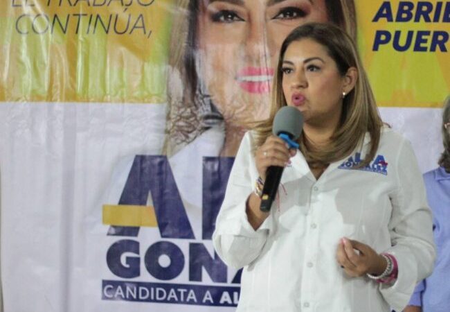 Oposición también impugna elección en Tlalpan