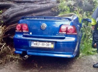 Cae árbol sobre auto en colonia Nápoles; mujer muere y su bebé sobrevive