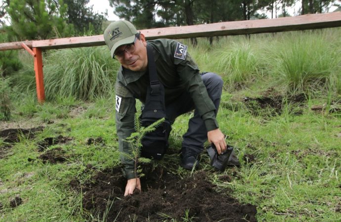 Tlalpan arranca jornada de reforestación 2024