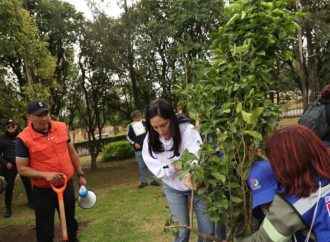 Anuncia Lía Limón tercera jornada anual de reforestación en Álvaro Obregón