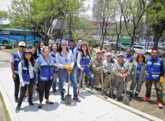 Con la meta de sembrar 4 mil árboles, Lía Limón encabeza jornada de reforestación en Álvaro Obregón