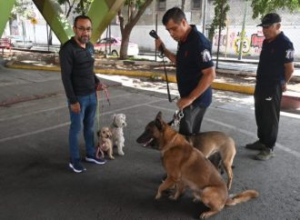 Reafirma Alcaldía Azcapo compromiso con el bienestar animal